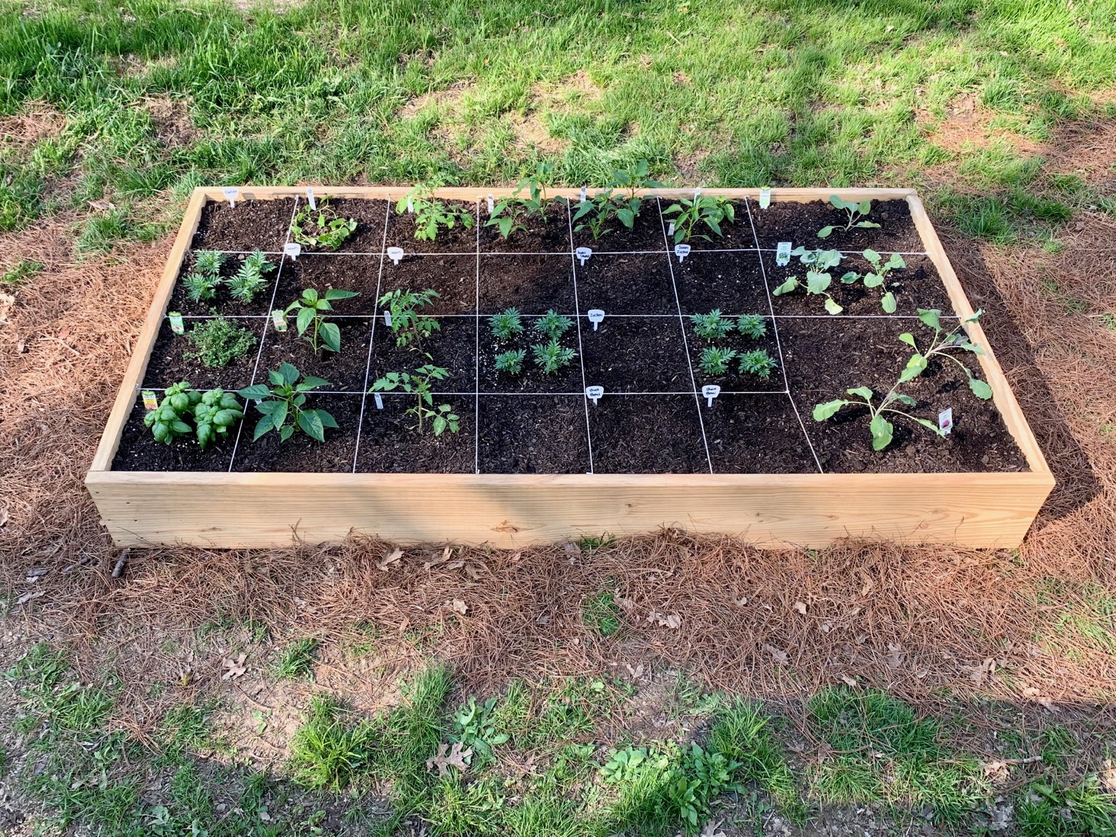 Gardening For Beginners: A "How To" From Building A Bed To Planting