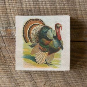turkey napkin